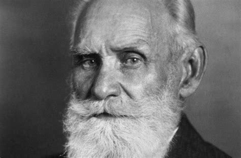 Ivan Pavlov: Life, Research, Classical Conditioning