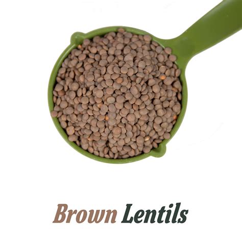 Brown Lentils - 1KG - Squirrel-Depot