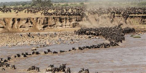 3 Days Serengeti Wildebeest Migration Safari from Ngorongoro