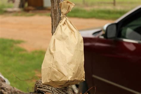 DIY Wasp Deterrent - That Farm Mama | Wasp deterrent, Wasp, Natural beauty diy