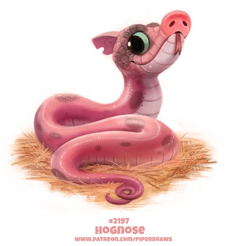 Adorable Hognose Snake Drawing - Snake Drawing