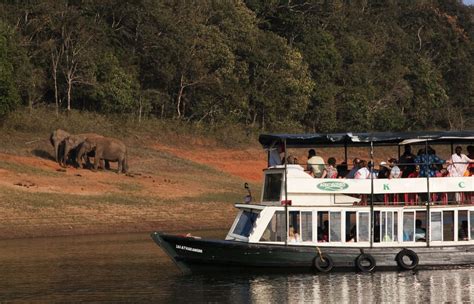 Periyar National Park Kerala: Essential Travel Guide