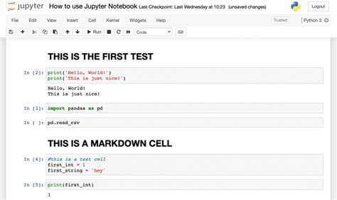 How to Use Jupyter Notebook (Basics for Beginners + Best Practices)