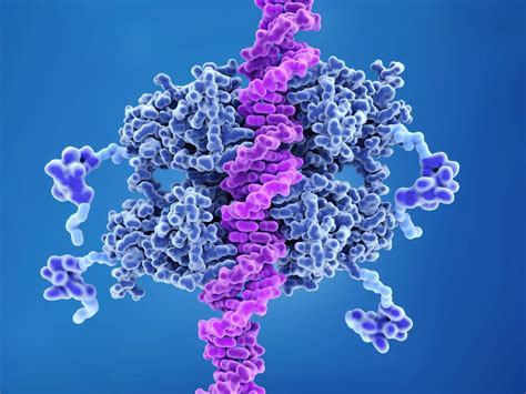 Protein adduction and p53 tumor suppressor inhibition