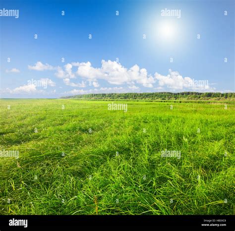 Whit hi-res stock photography and images - Alamy