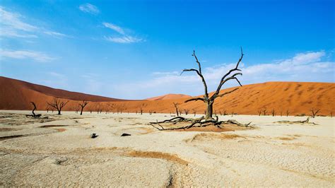 Namibia: Where sparse landscapes meet conservation and the rarest ...