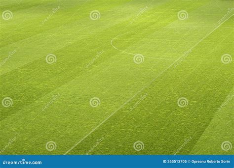 Empty football stadium stock image. Image of clean, lawn - 265513705