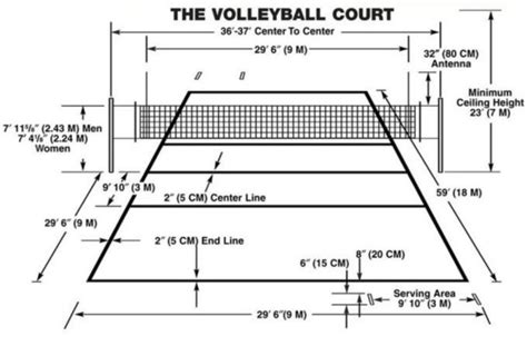 Attack Line In Volleyball Outlets, Save 47% | jlcatj.gob.mx