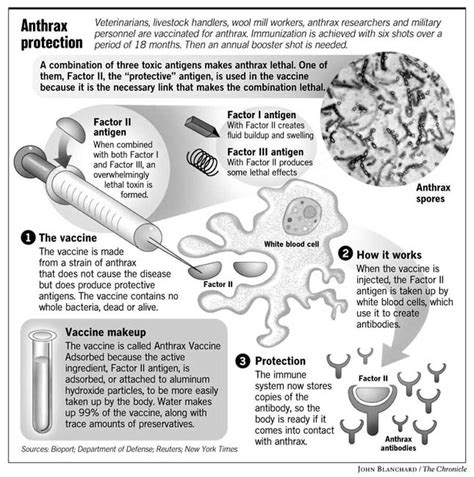 Anthrax vaccine report shows spikes in potency - SFGate