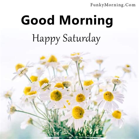 278+ Good Morning Saturday Images | Saturday 2022 Good Morning Pics