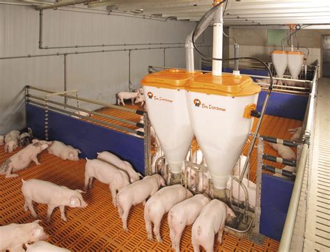 Automatic Feeders | Pig Feeding | Big Dutchman | USA