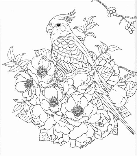 adult nature coloring pages harmony of nature adult coloring book pg 30 ...