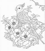 Collection Of Nature Coloring Pages For Adults  Free Printable sketch template