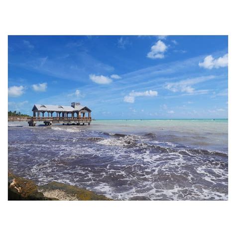 Hello from Higgs Beach! Higgs is a #KeyWest favorite and a great place ...