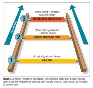 World Health Org Pain Ladder: Do We Need Another Step? | EDS and ...