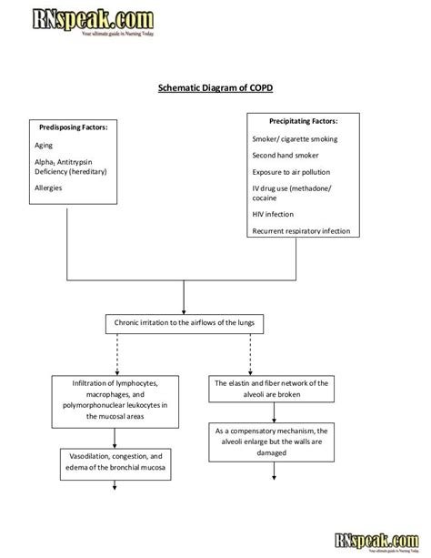 Schematic diagram of copd