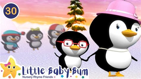 5 Little Penguins | Little Baby Bum Animal Club | Fun Songs for Kids - YouTube