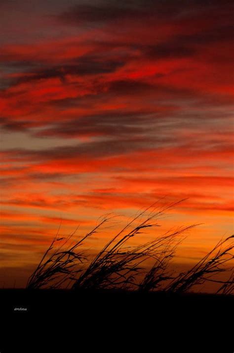 Prairie Sunset | Sunset nature, Sunset photography, Nature photography