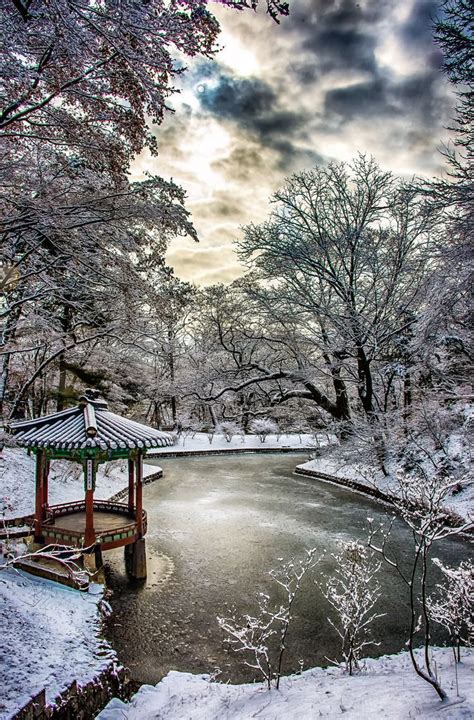 Pillanatok — crescentmoon06: Seoul, South Korea | Winter pictures ...