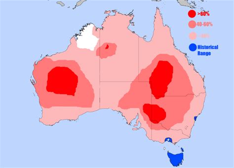 Emu Habitat -- Long but Fact-Filled and Varied | BackYard Chickens ...