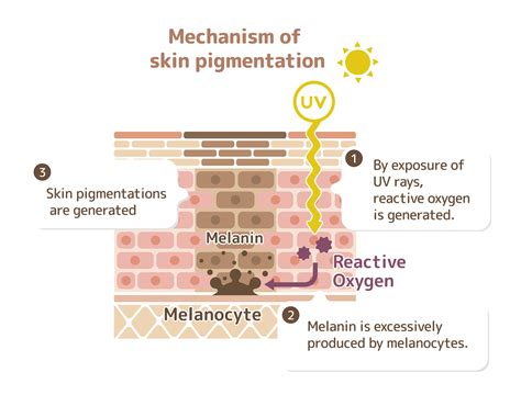 Age Spot Removal and Prevention — Spa 35