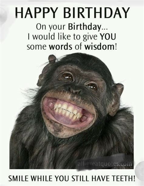 Pin on Cricut Cards in 2024 | Birthday quotes funny, Happy birthday ...