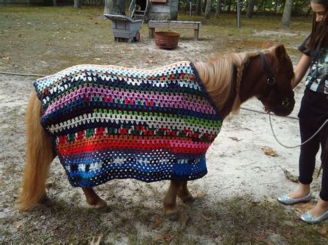 Lovely! | Crochet, Crochet blanket, Miniature horse