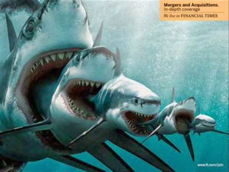 Megalodon Monster Shark HD Wall Wallpapers - HD Wall Wallpapers