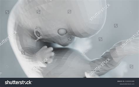 3d Rendered Illustration Abstract Human Fetus Stock Illustration 2100201088