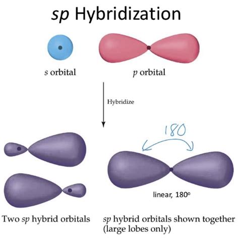 What is the hybridization of each carbon atom in acetonitrile? - CBSE Tuts