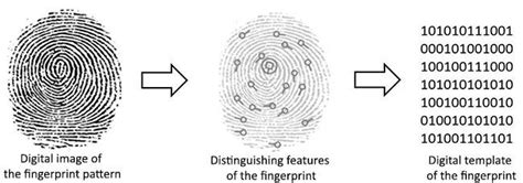 How Do Fingerprint Scanners Work? - Make Tech Easier