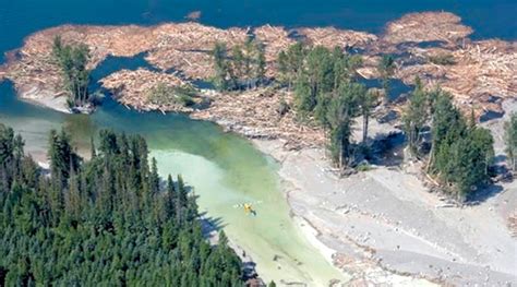 Engineers disciplined 7 years after Mount Polley mine disaster in British Columbia - MINING.COM