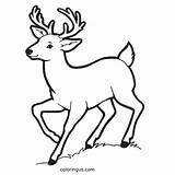 Get Creative Deer Coloring Page sketch template