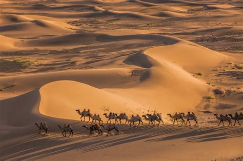 Mongolia Gobi Desert Landscape Photography tour | Desert landscape ...