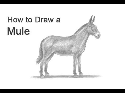 Mule Drawing Easy - Gorilla Cartoon Drawing Drawings Kids Craft Crafts ...