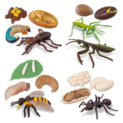 Buy TOYMANY 16PCS Insect Figurines Life Cycle of Stag Beetle,Honey Bee ...