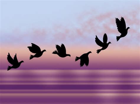 Free Stock Photo of Flying Birds Shows Chill Fall And Frosty | Download Free Images and Free ...