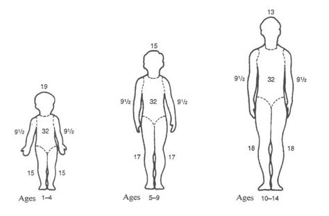 Determining Total Body Surface Area - MN Dept. of Health