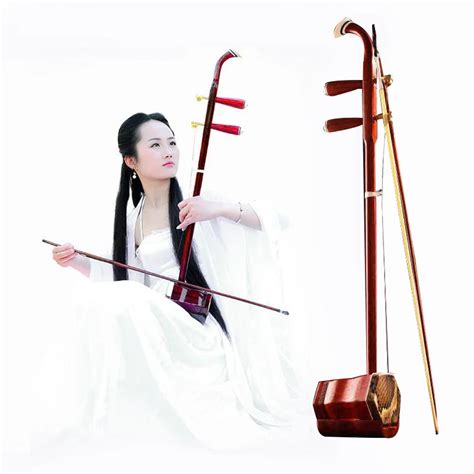 Chinese Erhu Folk String Instrument Ancient Mahogany Erheen Accessories ...