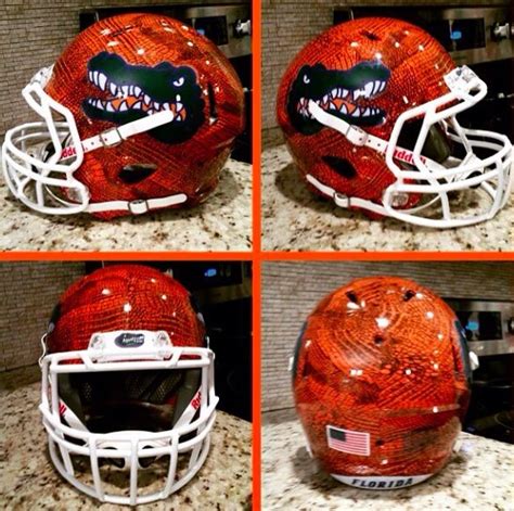 Gators concept. Nice | Football helmets, Florida gators football, College football helmets