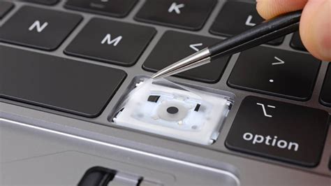 Apple's $50 Million Settlement Over Faulty MacBook Keyboards: What to Know - MacRumors