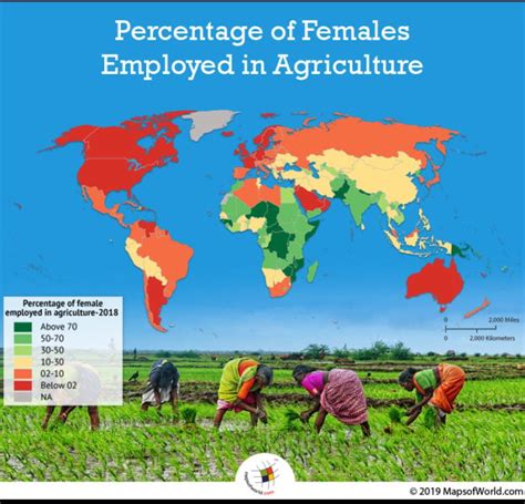 Countries with the Highest Percentage of Females Employed in Agriculture