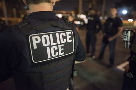 Haitian illegal immigrants attack, bite ICE officers on deportation flights, reports say ...