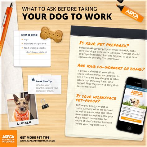 Benefits of Bringing Your Dog to Work | ASPCA Pet Health Insurance