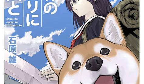 Manga Review: Doomsday With My Dog (2023) By Yu Ishihara, 44% OFF