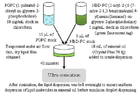 Schematic representation of lipid sample preparation method. The stock ...