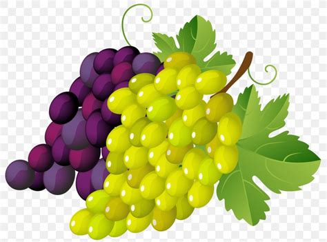 Grapevines Stock.xchng Clip Art, PNG, 1263x937px, Juice, Drawing, Food ...