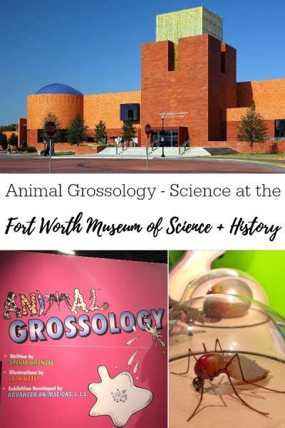 Fort Worth Museum Opens Grossology + Animal Grossology Exhibit - Life. Family. Joy