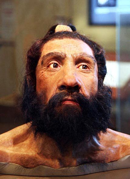 Humans and Neanderthals Branched off 600,000 years ago Due to an Incompatible Y Chromosome ...