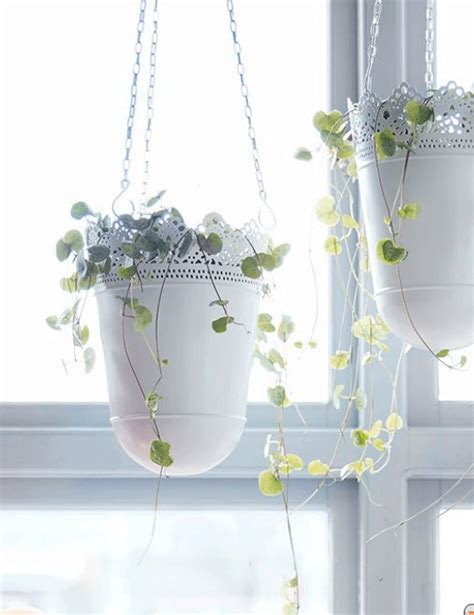 Poppytalk: New IKEA 2012 Catalogue - A Quick Glance | Hanging plants indoor, Ikea hanging ...